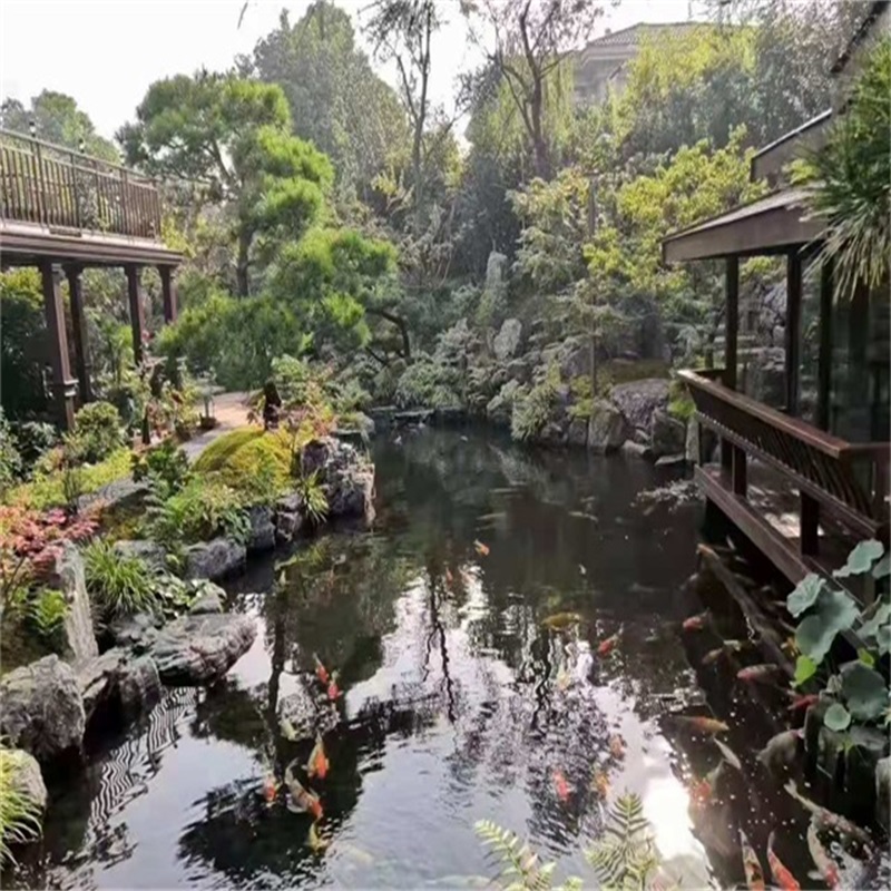 巴里坤假山植物小鱼池